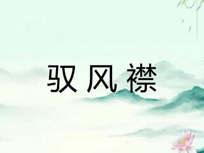 驭风襟
