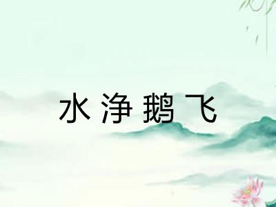 水浄鹅飞