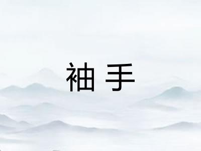 袖手