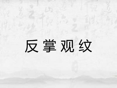反掌观纹