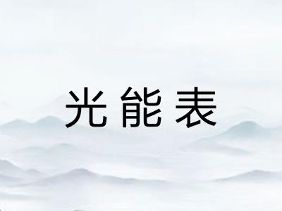 光能表
