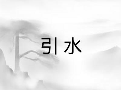 引水
