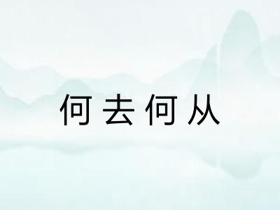 何去何从