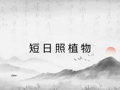 短日照植物