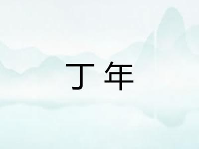 丁年