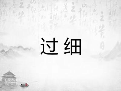 过细