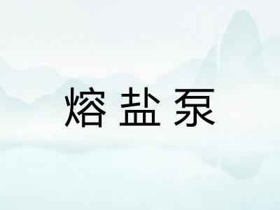 熔盐泵