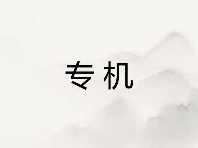 专机