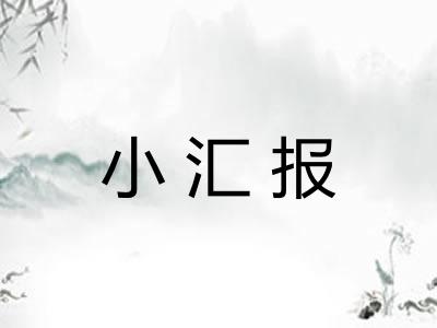 小汇报