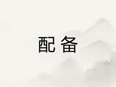 配备
