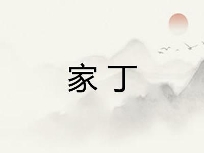 家丁