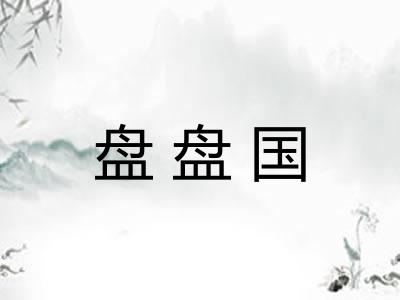 盘盘国