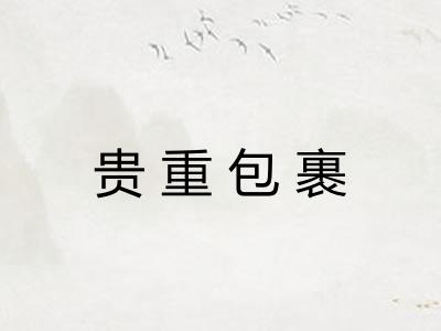 贵重包裹