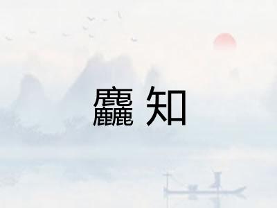 麤知