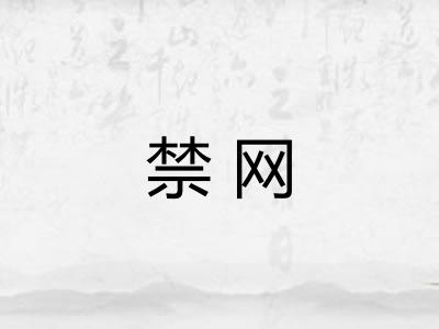 禁网