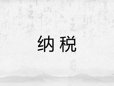 纳税