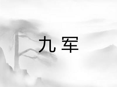 九军