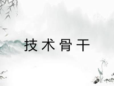 技术骨干