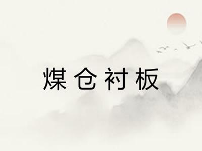 煤仓衬板