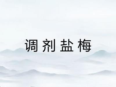 调剂盐梅