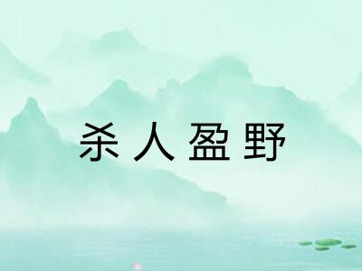 杀人盈野