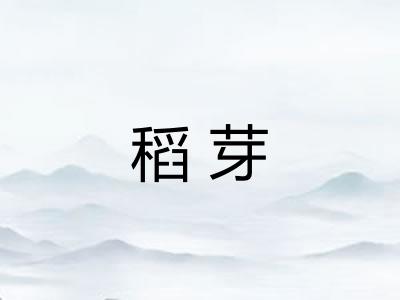 稻芽
