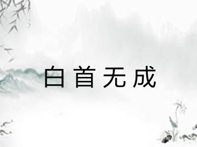 白首无成