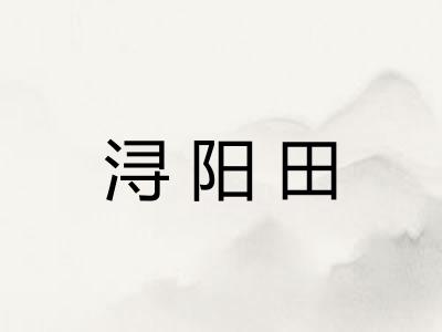 浔阳田