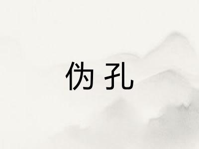 伪孔