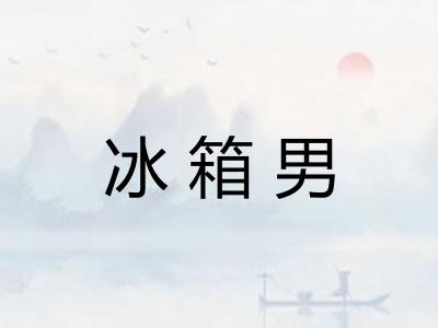 冰箱男