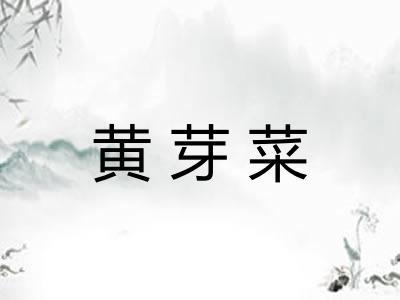 黄芽菜