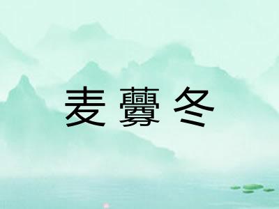 麦虋冬