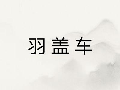 羽盖车