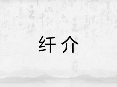 纤介