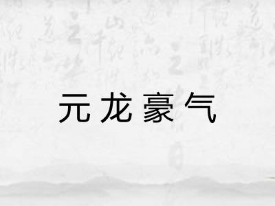 元龙豪气
