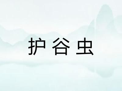 护谷虫