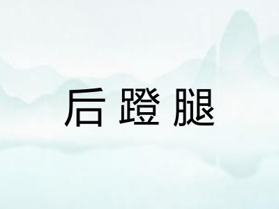 后蹬腿