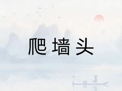 爬墙头
