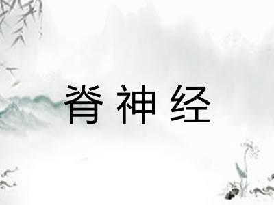 脊神经
