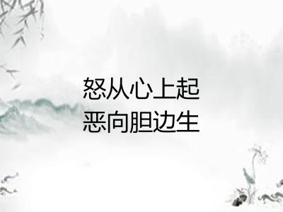 怒从心上起恶向胆边生
