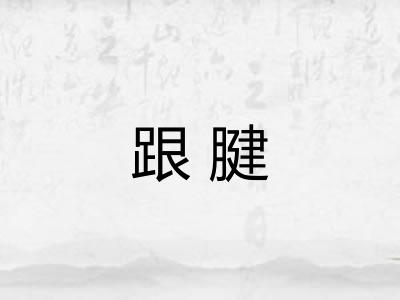 跟腱