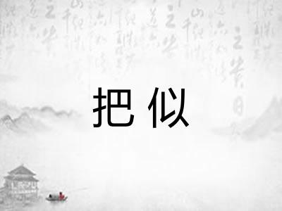 把似