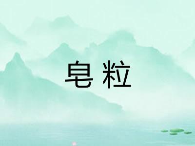 皂粒