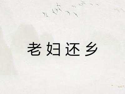老妇还乡