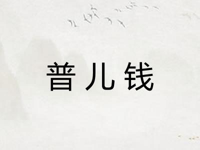 普儿钱