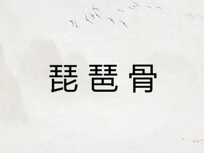 琵琶骨