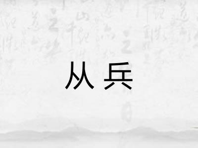 从兵