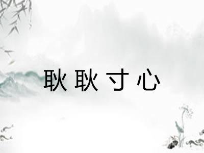 耿耿寸心