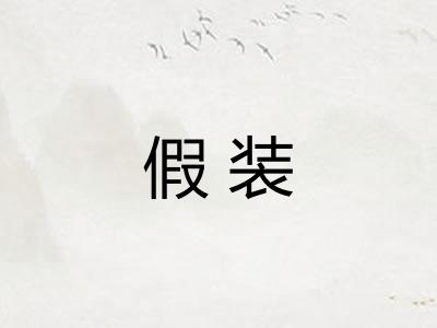 假装