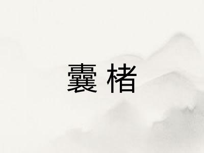 囊楮